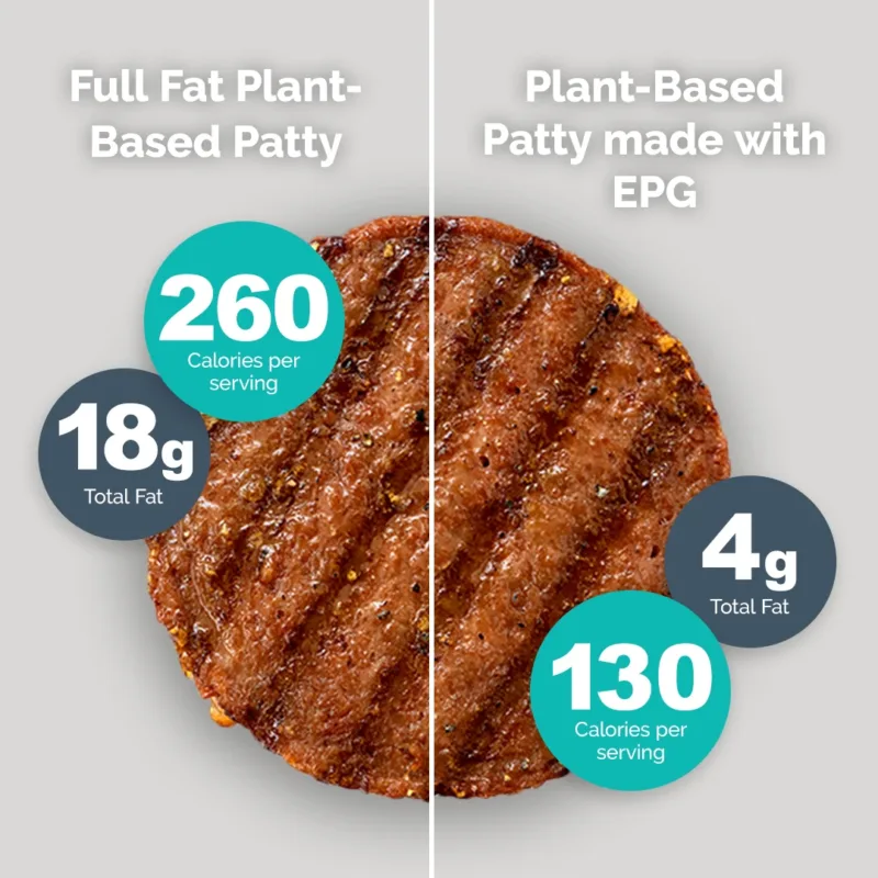 Plant-Based Patty Graphic Plant-Based Patty Graphic
