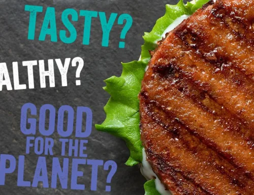 Plant-based food has a fat problem. We’re here to solve it.
