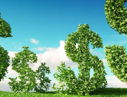 The best “green” investment is plant-based meats, says new report